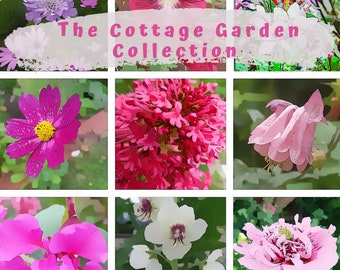The Cottage Garden Collection Flower Seeds
