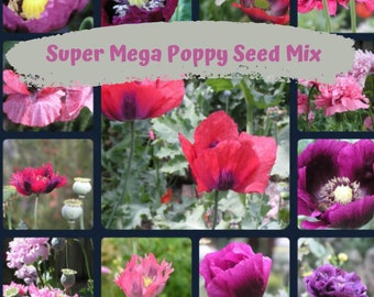 Super Mega Mix Poppy Flower Seeds 1000 plus