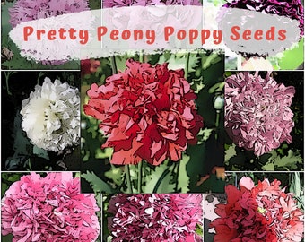 Pretty Peony Poppy Mix Flower Seeds