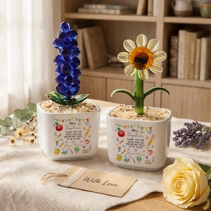 Könnte beinhalten: Zwei quadratische weiße Keramikübertöpfe mit kleinen Steinen, die jeweils eine Glasblume enthalten. Einer hat eine hohe blaue Glasblume, der andere ein gelbes Glasgänseblümchen. Beide Töpfe zeigen Schulmotive und den Text Mrs. Sophia.