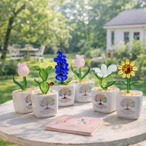 Könnte beinhalten: Sechs Glasblumen- und Pflanzenfiguren in weißen quadratischen Töpfen, jede mit einer bunten Baumgrafik und dem Text Happy Retirement 2024. Die Sammlung umfasst eine rosa Tulpe, einen grünen Kaktus mit Marienkäfer, eine blaue Hyazinthe, eine rosa Tulpe, eine weiße Blume und eine gelbe Sonnenblume.