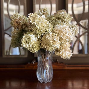 May include: A clear, cut-glass vase filled with dried hydrangeas. The flowers are a mix of cream and light green, with a full, rounded shape. The vase has a textured, ribbed design and sits on a dark wooden surface.