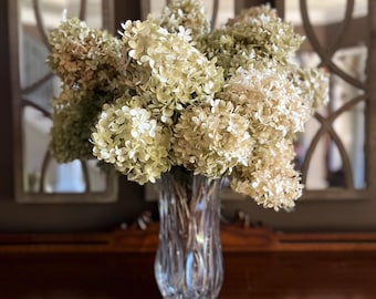 Dried Limelight Hydrangea Blooms | Natural Green-Cream-Pink Florals for Crafts, Weddings & Home Décor