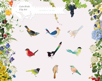 12 x CUTE COLORFUL BIRDS :   Clipart  I  Transparent Birds  I  Instant Download