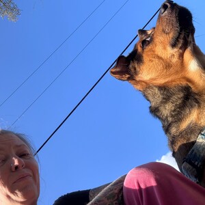 May include: A low-angle shot of a dog looking up into a bright blue sky. The dog has brown and black fur. A person is visible in the foreground, wearing a black shirt and pink trousers. Power lines are visible.