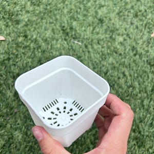 May include: A small, square, white plastic plant pot with a tapered base. The interior features a raised, circular drainage grid with multiple vertical slots at the bottom to allow for water flow and aeration for plant roots.