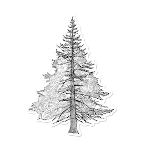 Könnte beinhalten: Schwarz-weißer Aufkleber mit einer detaillierten Illustration eines Kiefernbaums. Die Silhouette des Baumes ist mit topografischen Linien gefüllt, wodurch ein einzigartiges Design entsteht. Der Aufkleber hat einen weißen Rand.