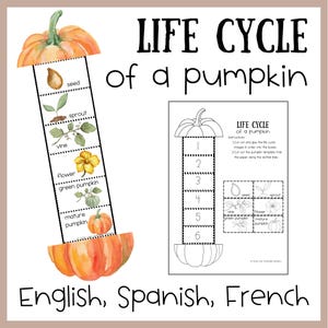 May include: An educational activity sheet titled LIFE CYCLE of a pumpkin. It features a vertical strip with watercolor illustrations of a seed, sprout, vine, flower, green pumpkin, and mature pumpkin, alongside a black and white template version.