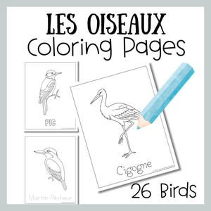 May include: A collection of bird coloring pages with the text "LES OISEAUX Coloring Pages" and "26 Birds". The pages feature line drawings of various birds, including a woodpecker, a stork, and a kingfisher, with their names below.