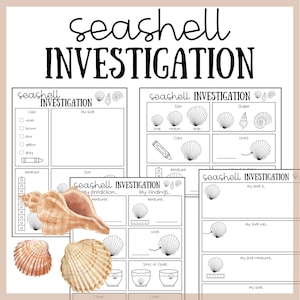 May include: A collection of printable worksheets for a seashell investigation. The worksheets include sections for color, size, shape, and measurement, with illustrations of various seashells. The title "seashell INVESTIGATION" is displayed at the top.