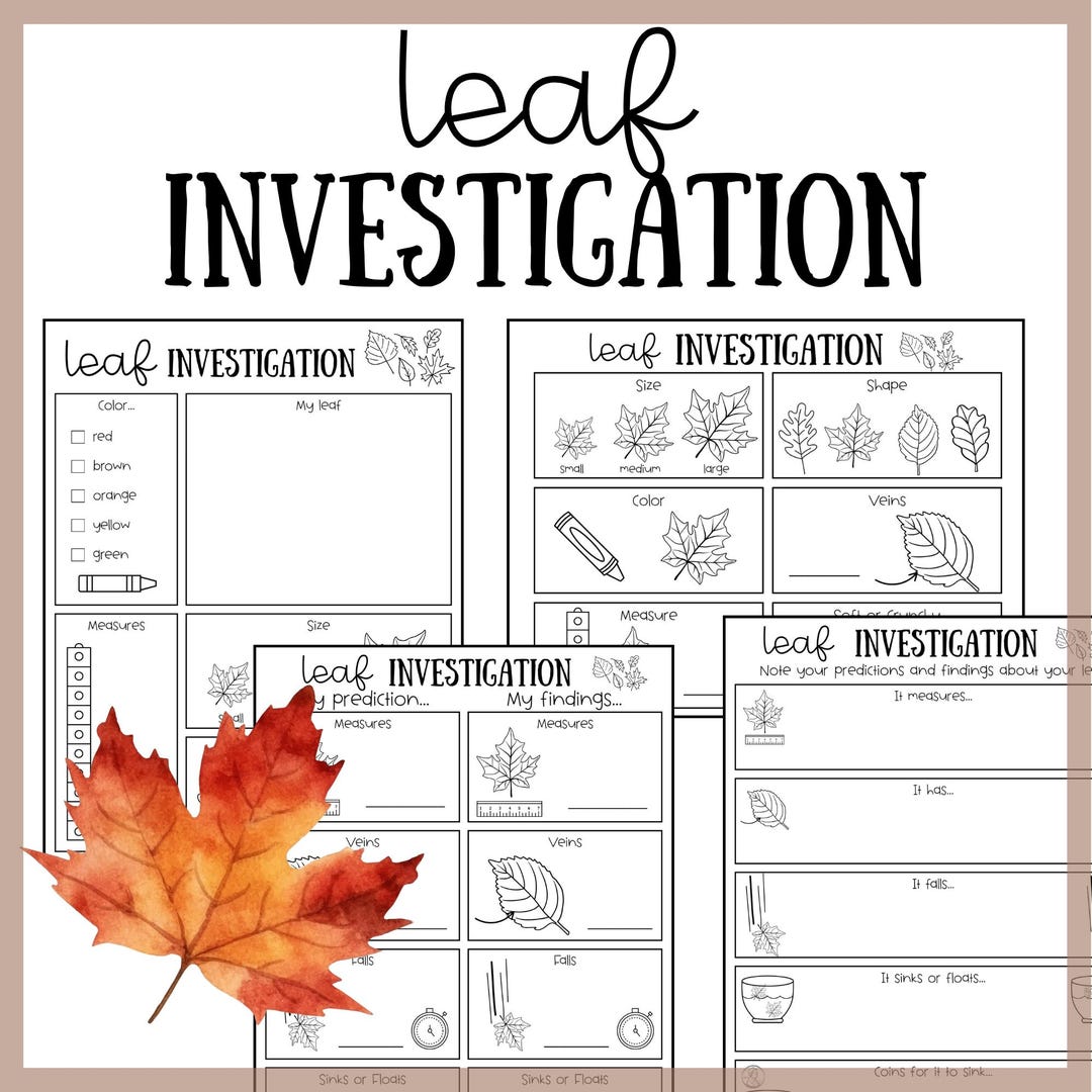 Leaf Investigation Recording Sheet, Worksheet (digital Download) | Fall ...