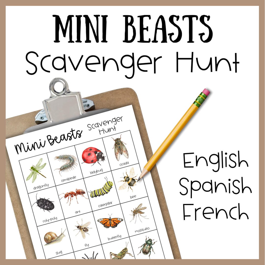Mini Beasts Scavenger Hunt | Bugs Insects Activity | English, Spanish ...