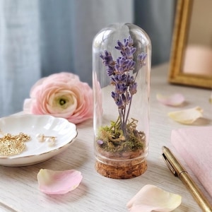 May include: A clear glass cloche dome with a cork base containing dried purple lavender stems nestled in green moss. The display stands upright, showcasing the preserved botanical arrangement inside the cylindrical glass enclosure.