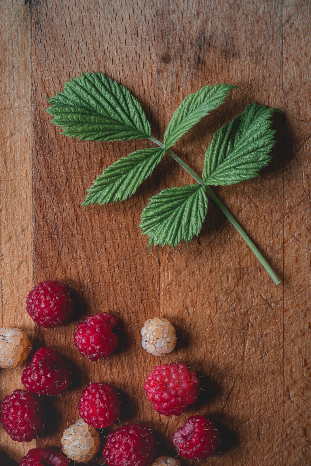 Wild Raspberry Id Wild Raspberry ID Guide - Etsy