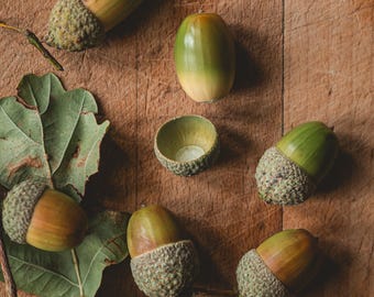 May include: A collection of acorns and oak leaves arranged on a wooden surface. The acorns display a gradient of green and brown hues, with textured caps. The leaves are a vibrant green, and the wood has a warm, natural tone.