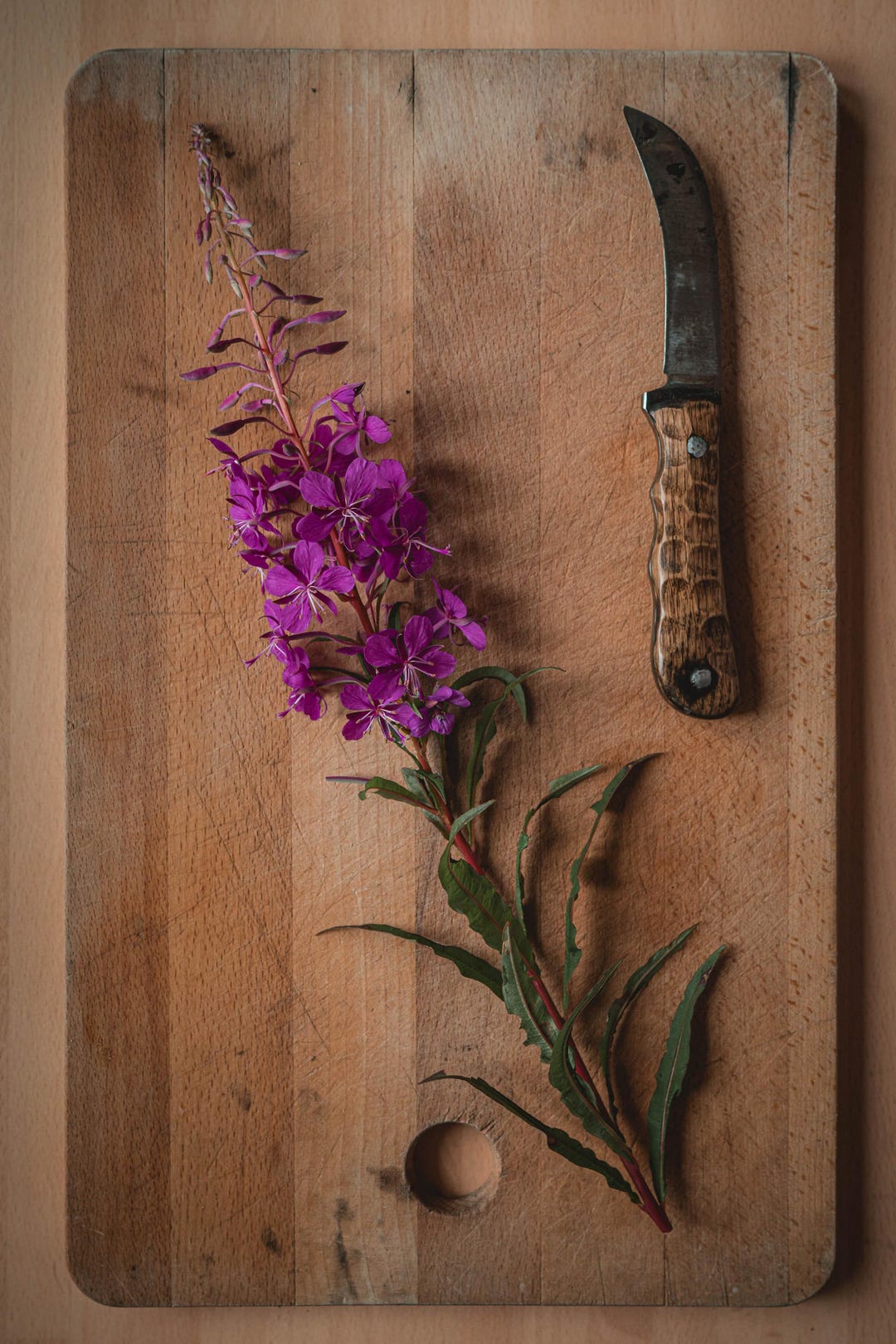 Rosebay Willowherb (fireweed) ID Guide - Etsy