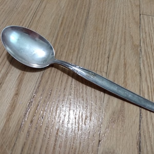 May include: A silver-toned metal spoon featuring a smooth, oval-shaped bowl and a straight handle. The handle is decorated with a subtle, embossed leaf-like pattern near the neck, transitioning into a plain, flat, and slightly tapered end.