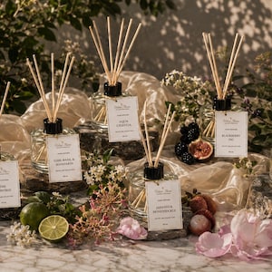 May include: Five clear glass reed diffusers with black caps and wooden reeds, each featuring a white rectangular label with text. The scents include The Daintree, Lime, Basil & Mandarin, Aqua Celestia, Blackberry Fig, Japanese Honeysuckle, and French Pear.