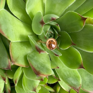 May include: A gold-toned ring featuring a circular setting that contains a small, preserved ladybug under a clear, domed resin surface. The ring band is thin and metallic, showcasing a detailed insect specimen within the round, polished bezel.