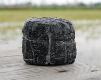 Pierre de palmier lingbi · Pierre noire naturelle · Texture fissurée · Objet de collection Zhouzhai