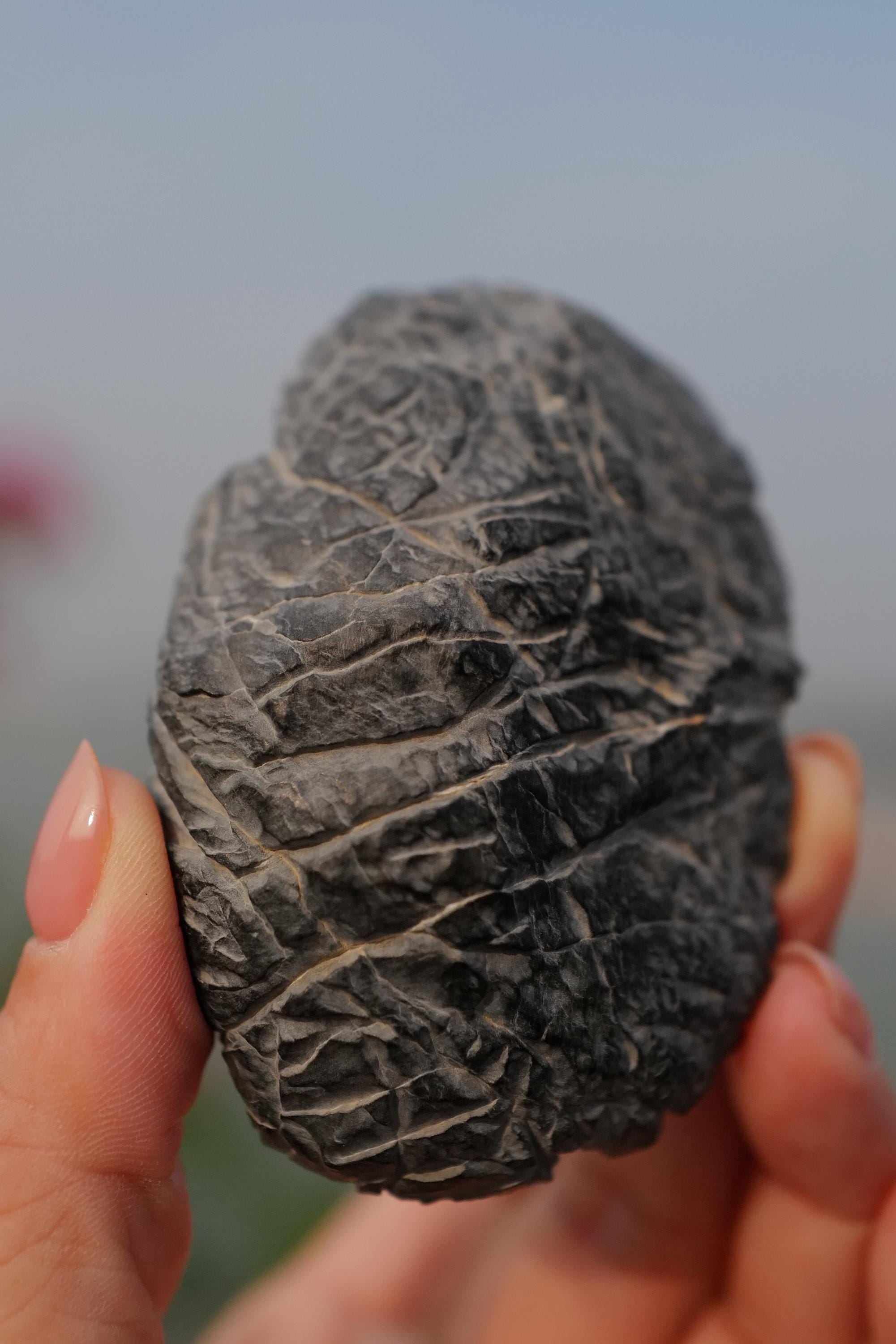 Zhouzhai Lingbi Scholar Stone — Crackle Scar × Ink-wash Patterns