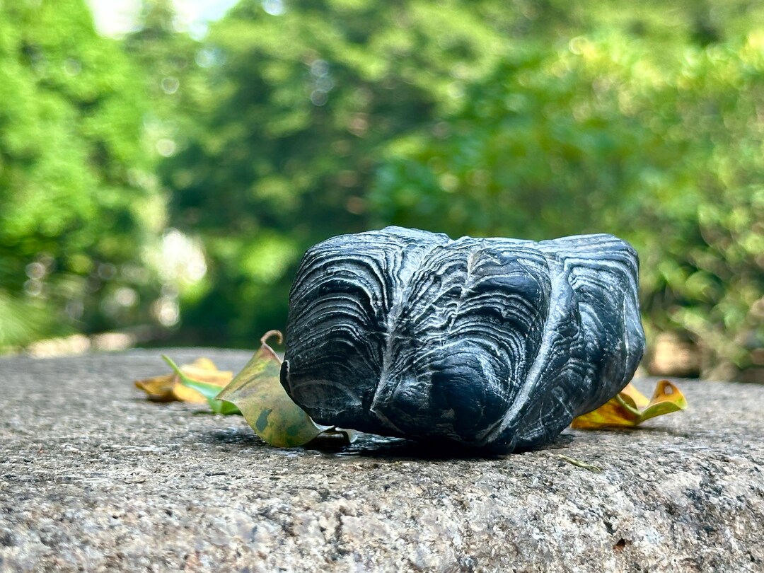 Tiger Head Lingbi Stone: Baima Pattern Desktop Art，collectible ...
