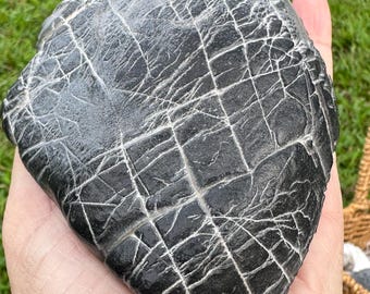 Zhouzhai Lingbi Stone · Motif en forme de coeur de noyer : ancienne sculpture de collection gris-noir