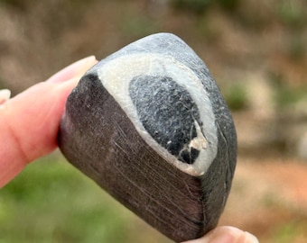 Pièce de poche en pierre de Lingbi Eye of Horus | Pierre érudite à motif naturel | Pierre de collection unique en son genre