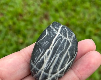 Pièce à main en pierre de Lingbi naturelle · Pierre érudite à motif écaille de tortue · Miniature de poche pour collection et décoration de bureau