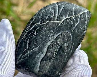 Pierre de palmier Lingbi · Motif naturel de nervures de feuille · Pierre savante noire · Article de collection