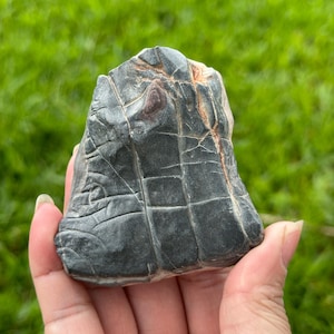 May include: A dark gray rock with a textured surface and a grid-like pattern. The rock has reddish-brown veins and is held in a hand against a backdrop of green grass. The rock's shape is irregular and natural.