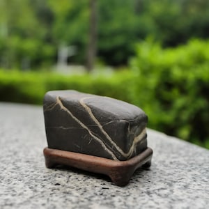 May include: A dark gray stone with white and tan veining, displayed on a small, dark brown wooden stand. The stone has a rectangular shape with rounded edges. The background is blurred green foliage.