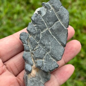May include: A dark gray, irregularly shaped rock with a textured surface and visible cracks. The rock is held in a person's hand against a blurred green background of grass. The rock's surface has a rough, weathered appearance.