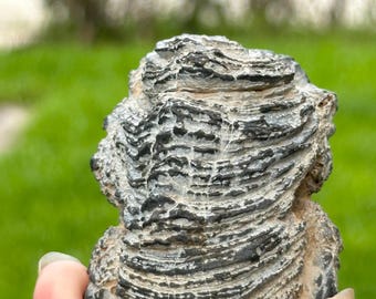 Powiewająca szata Buddy · Kamień do ręki Lingbi Wanluo | Kamień uczony Cao Yi Shui Spiral Zen Pattern | Naturalny okaz kolekcjonerski