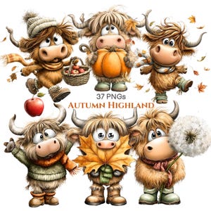 Può includere: Una collezione di sei mucche Highland in stile cartoon con folta pelliccia marrone, che indossano abiti autunnali come sciarpe e stivali, interagendo con zucche, mele e foglie. Il testo 37 PNGS AUTUMN HIGHLAND è al centro.
