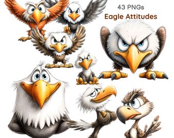 Imágenes prediseñadas de águilas con actitud, expresiones de águila enojada, emociones de aves de dibujos animados, personaje de halcón (43 PNG)