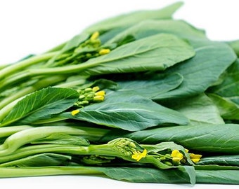 Edible Rape Cải Ngọt Asian Vegetable Green Yu Choy seeds -1 OZ=13000 seeds Edible Rape Cải Ngọt Asian Vegetable Green Yu Choy seeds -1 OZ=13000 seeds
