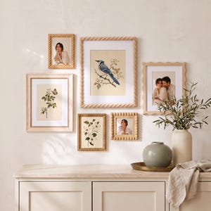 May include: A gallery wall arrangement featuring six rectangular frames with light wood finishes, displaying botanical illustrations of a blue jay, a butterfly, and flowers, alongside three portrait photographs of people, set above a light-colored cabinet.