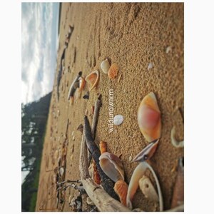 Minimalistische Landschaftsfotografie für Wanddeko // Digital Print Landscape Shells on the beach in Australia near Hervey Bay, Queensland