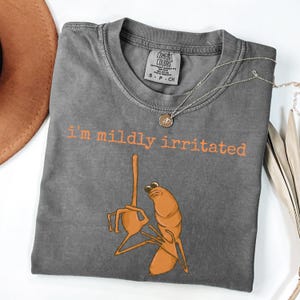 I'm Mildly Irritated Marcus The Worm Shirt, Marcus The Worm Meme Shirt, Brain Rot shirt, Robert Help Marcus The Worm Ugly shirt afbeelding 7