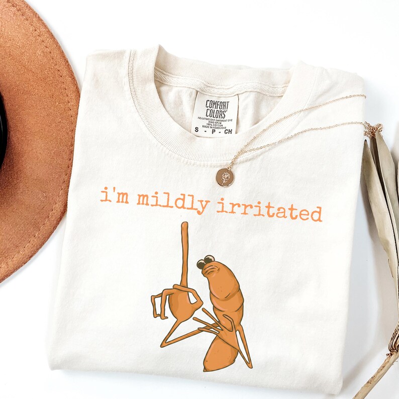 Op de afbeelding: Cr&egrave;me t-shirt met de tekst "i'm mildly irritated" in oranje. Het shirt heeft een cartoon garnalen illustratie. Een gouden ketting en een bruine hoed zijn ook zichtbaar.