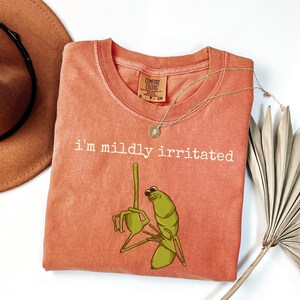 I'm Mildly Irritated Marcus The Worm Shirt, Marcus The Worm Meme Shirt, Brain Rot shirt, Robert Help Marcus The Worm Ugly shirt afbeelding 6