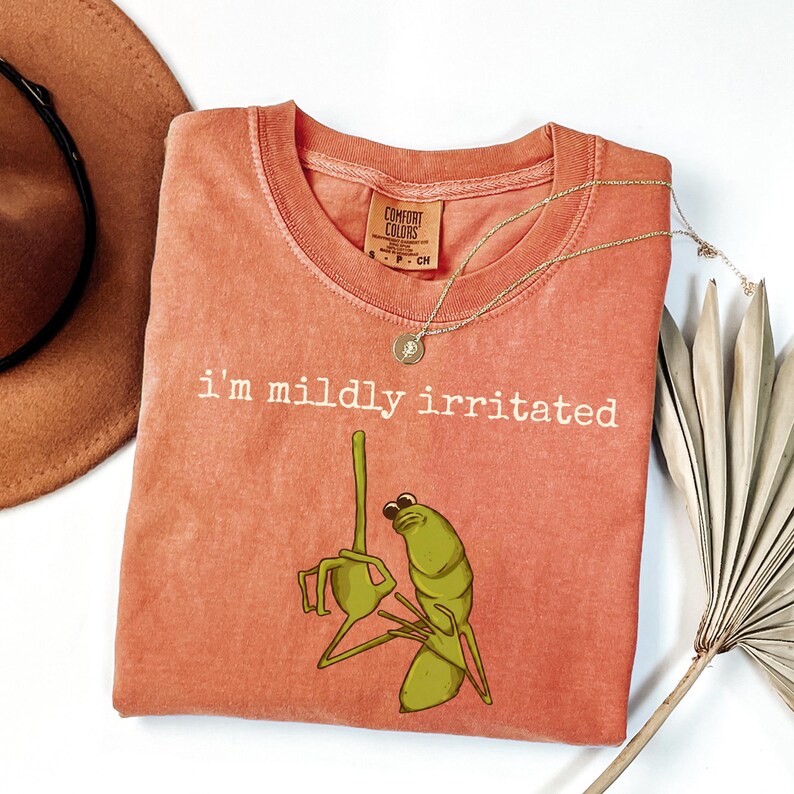 I'm Mildly Irritated Marcus The Worm Shirt, Marcus The Worm Meme Shirt, Brain Rot shirt, Robert Help Marcus The Worm Ugly shirt afbeelding 6