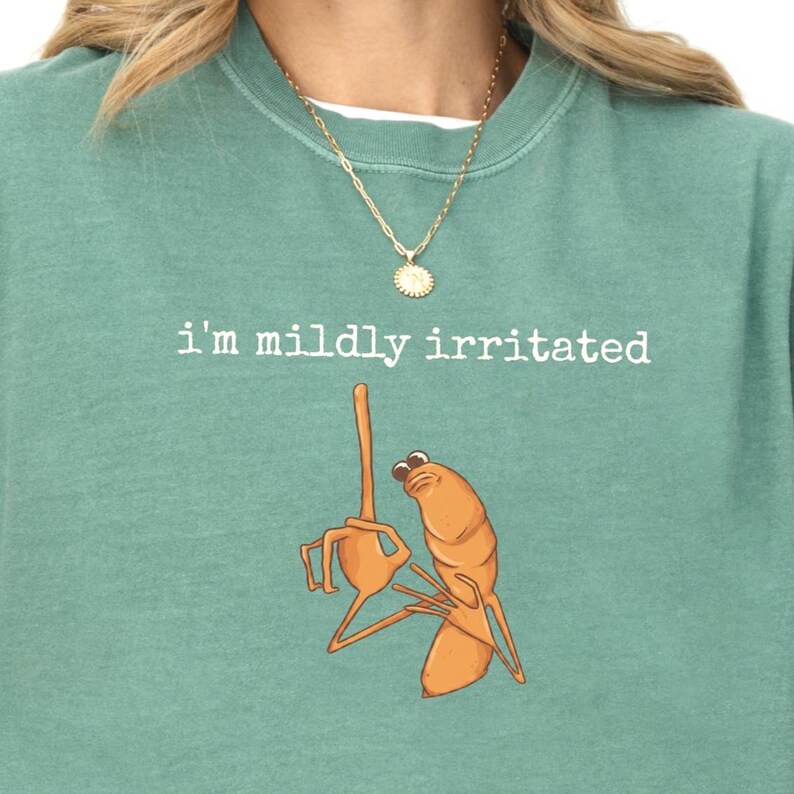 Op de afbeelding: Een tealkleurige sweatshirt met de witte tekst "I'm mildly irritated". Het ontwerp toont een cartoon garnaal met een ge&iuml;rriteerde uitdrukking en een middelvinger.