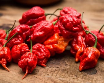 キャロライナ・リーパーペッパーの種100粒 – Capsicum chinense ホット