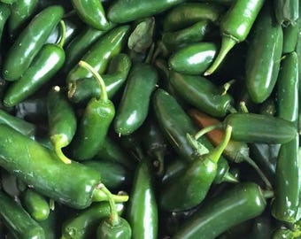 Early Jalapeno Pepper Seeds | Fast Growing Jalapeno Chili Peppers | Heirloom Hot Pepper | 30 Seeds