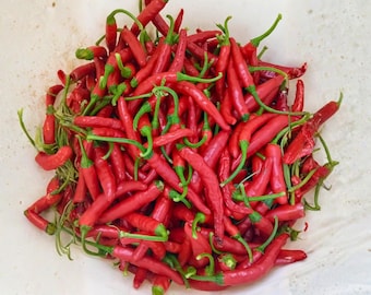 Thai Hot Pepper 30 Seeds | Thai Chili for Garden Planting | Compact Productive