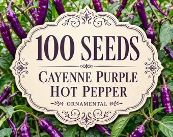100 Cayenne Purple Hot Pepper Seeds | Ornamental Edible Chili (Capsicum annuum)