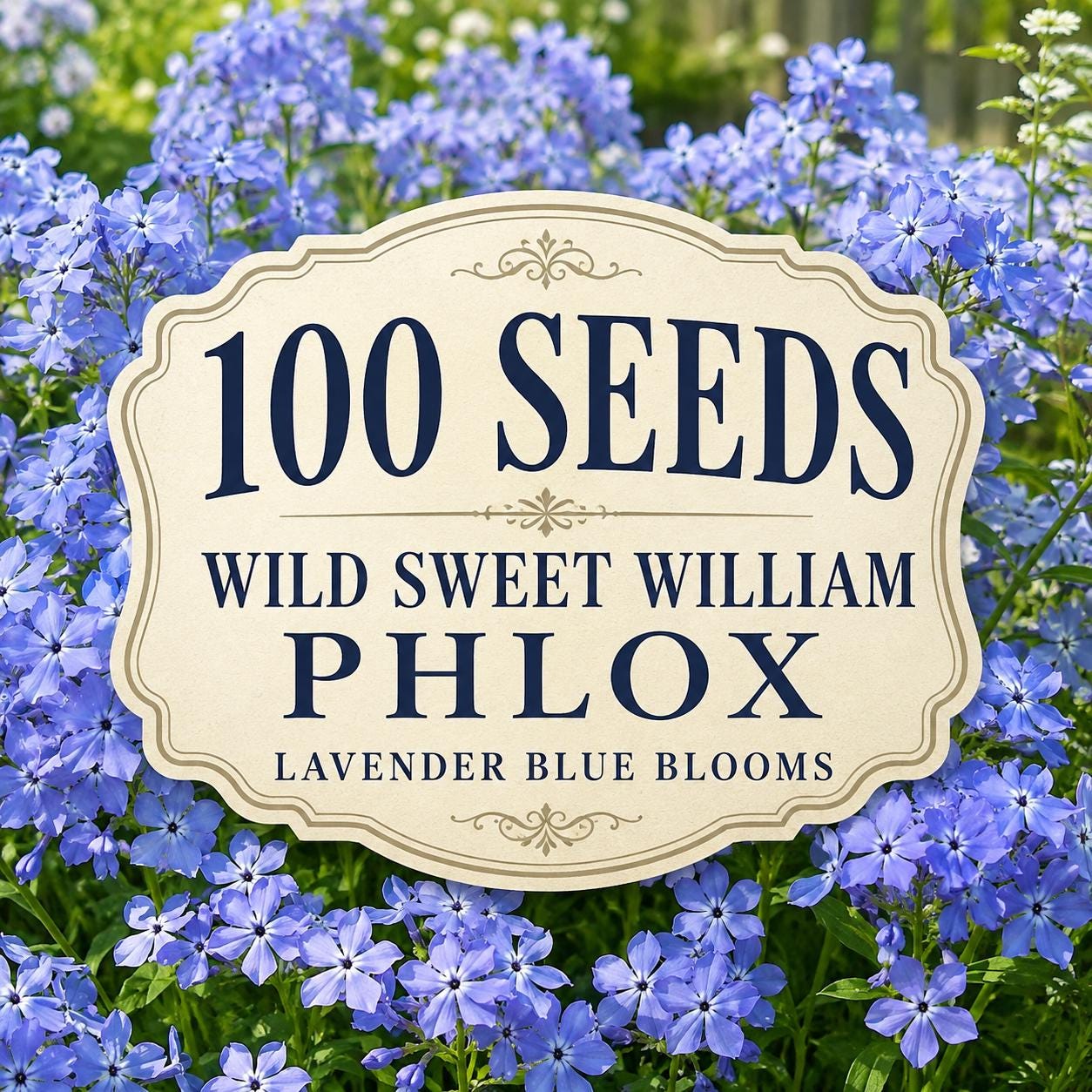 Wild Sweet William - Etsy Canada