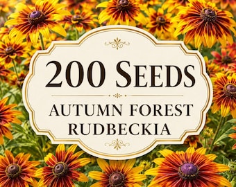 200 Autumn Forest Rudbeckia Seeds – Black Eyed Susan Flowers